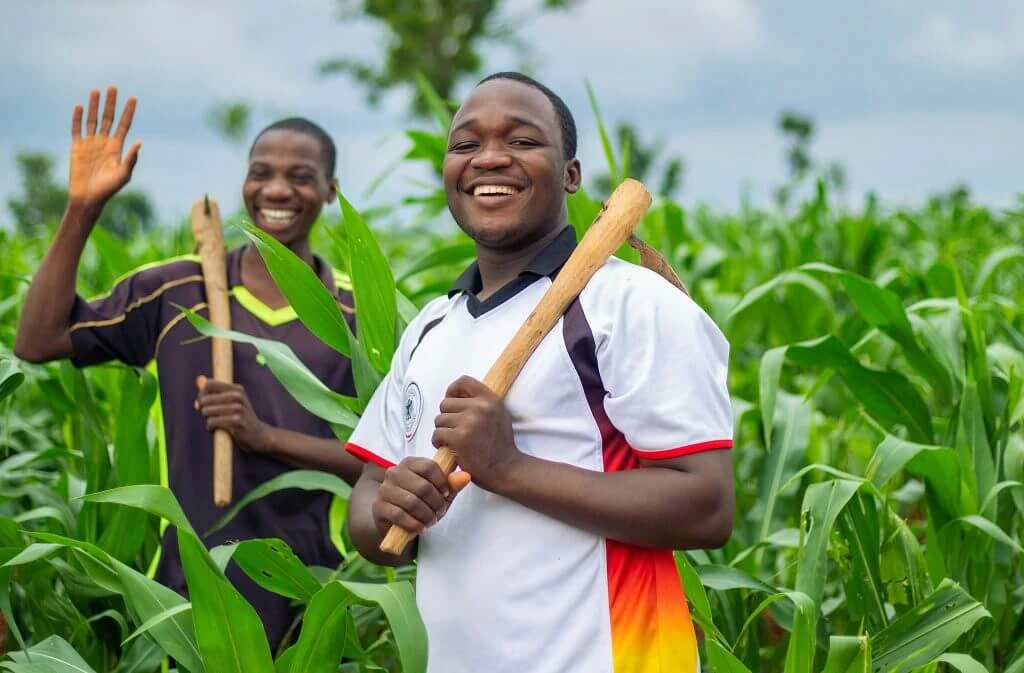 Lush green farm landscape representing Soocity Farms